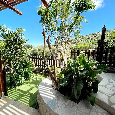 Villa Platipodi Stone House à Nikithianos Extérieur photo