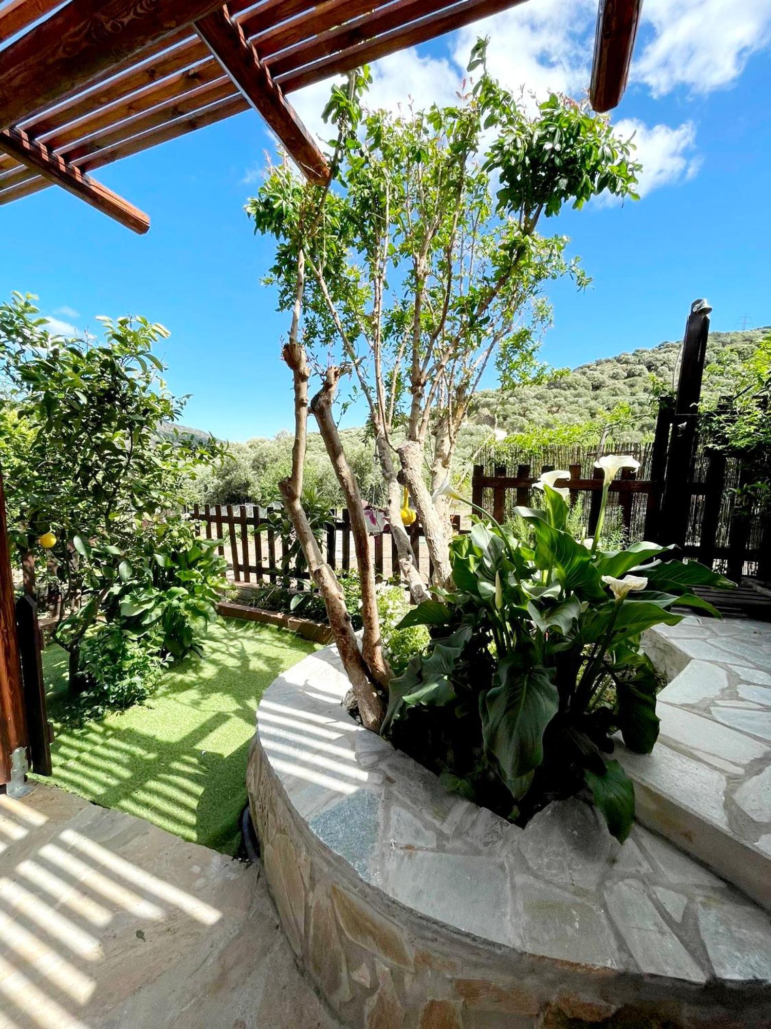 Villa Platipodi Stone House à Nikithianos Extérieur photo